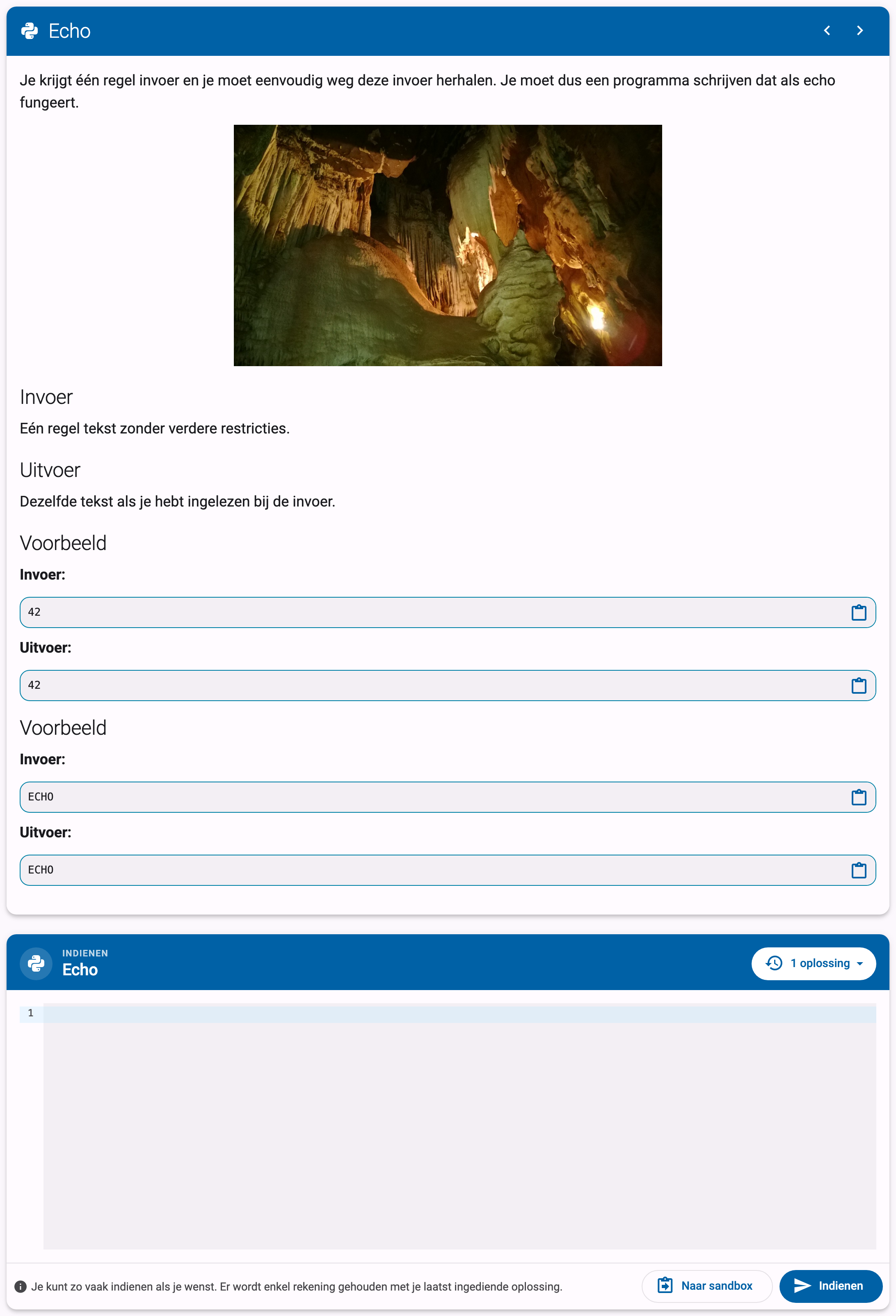 Oefeningpagina met de beschrijvingskaart en daaronder het indienpaneel met de code-editor en de indienknop