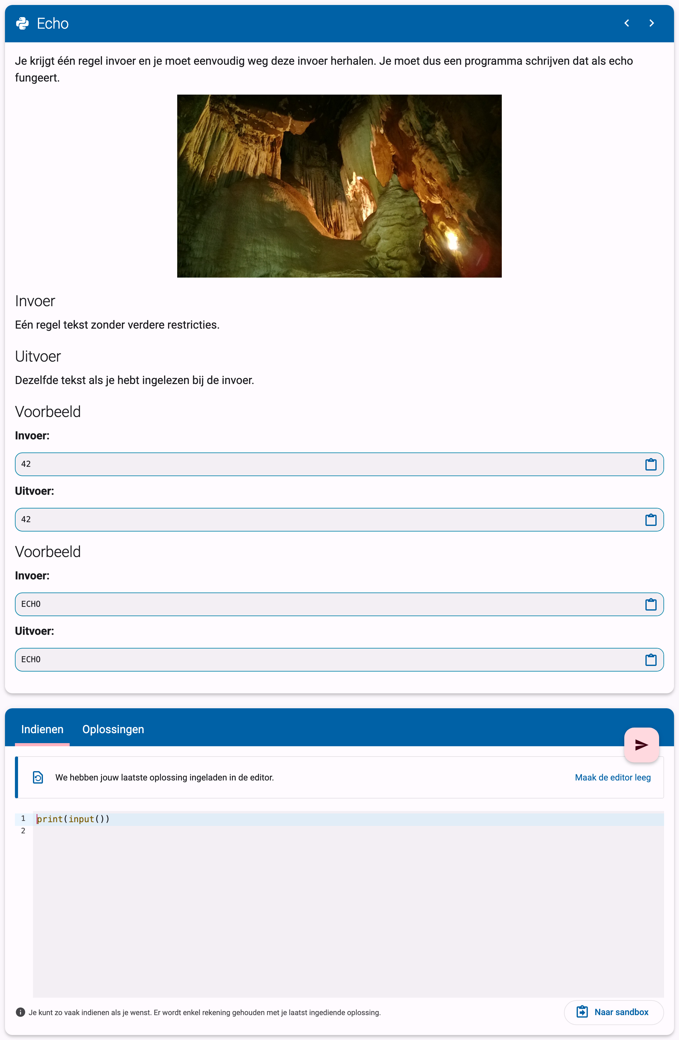 Oefeningpagina met de beschrijvingskaart en het indieningspaneel